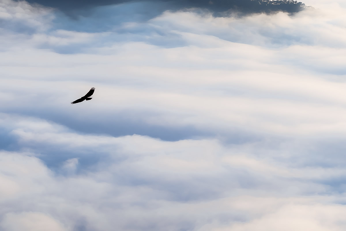 Breathing Sessions - Breathwork