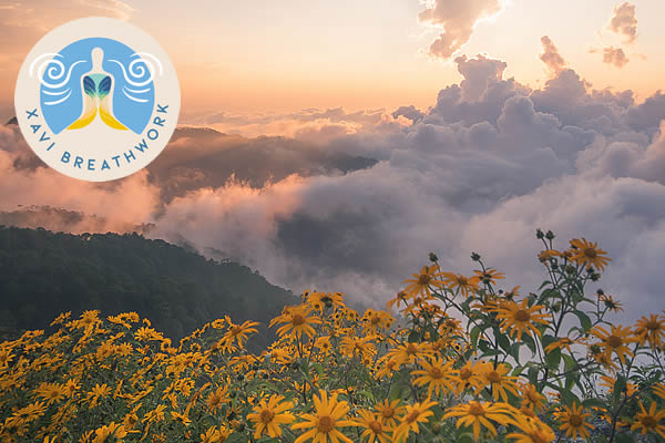 Breathwork en San Pancho, Nayarit